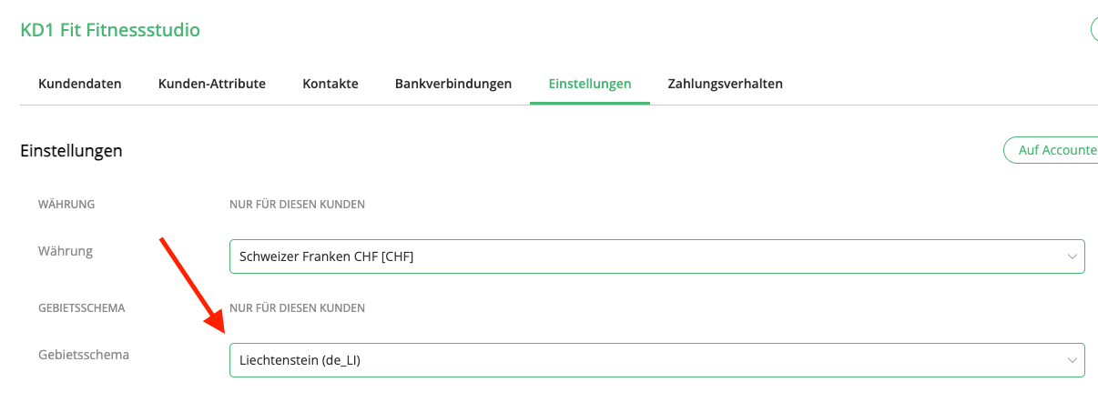 Rechnungen_Ausland_1.webp